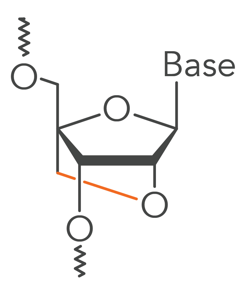 19_DR_locked nucleic acid monomer A locked nucleic acid base