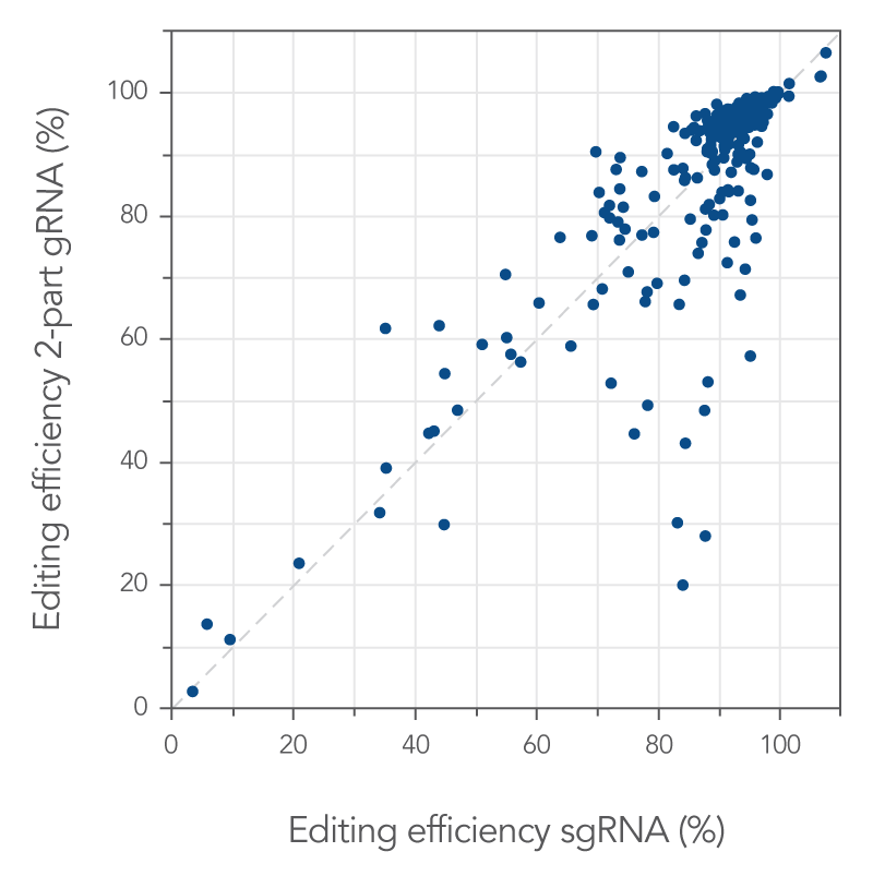 19_GE_Figure_DECODED_2part-vs-sgRNA_2 Using two-part or single guide RNA results in similar editing efficiencies across the genome after transfection with RNP complexes.