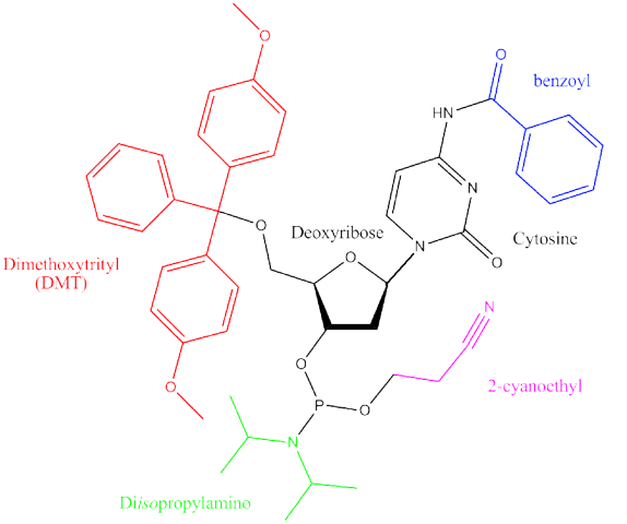 D-OLI15CC-IDTleads-F1 Phosphoramidite monomer for oligos