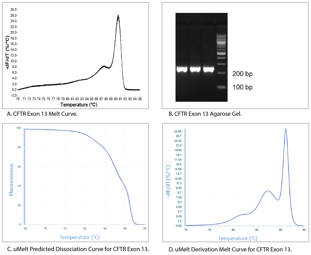 D-PCR14CC-interpretingmeltcurves-F5 Comparative melt curve analysis of CFTR exon 13 amplicon