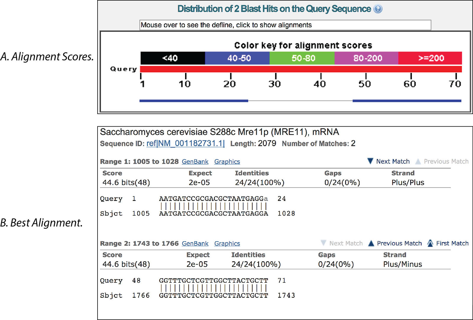 D-PCR11LT-BLAST-F1 NCBI primer BLAST sequence alignment