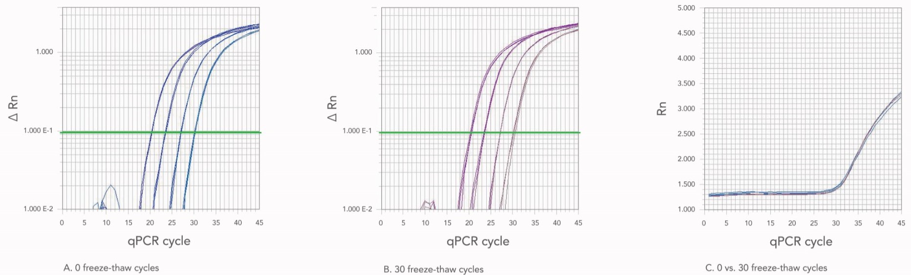 D-OLI17LT-Storingoligos-F2 30 cycles of repeated freeze and thaw does not alter oligo stability