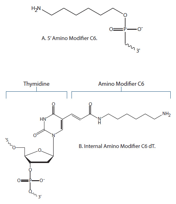 D-OLI12PS-Postsynth conj-F3 amino modifiers used to attach NHS esters